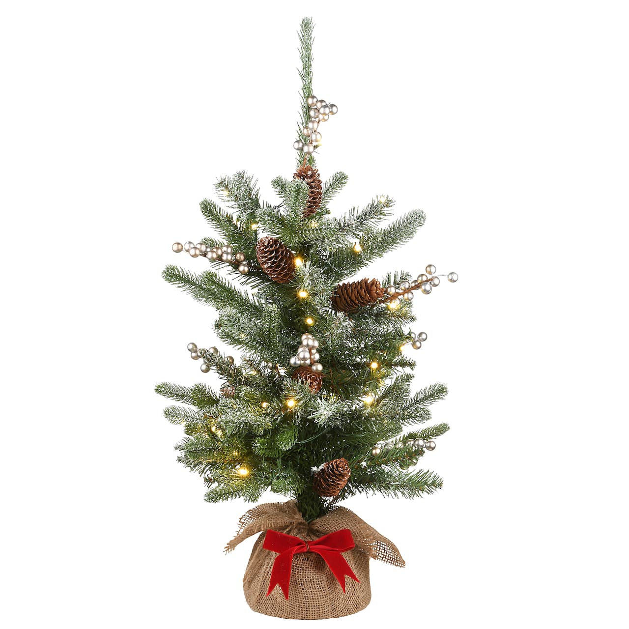 2ft. Pre-Lit Snowy Morgan Spruce Artificial Christmas Tree, Warm White LED Lights